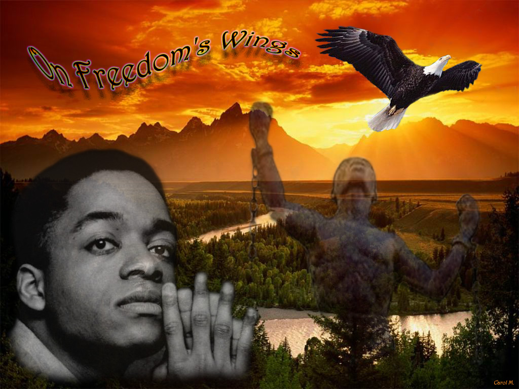 Nathan Jackson - On Freedom's Wings by Carol
Keywords: mag7_art;mag7_wpr