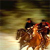 Horse Race by DichotomyStudios
Keywords: mag7_ico;icons