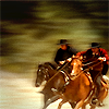 Horse Race by DichotomyStudios
Keywords: magnificent_7_ico;all_icons
