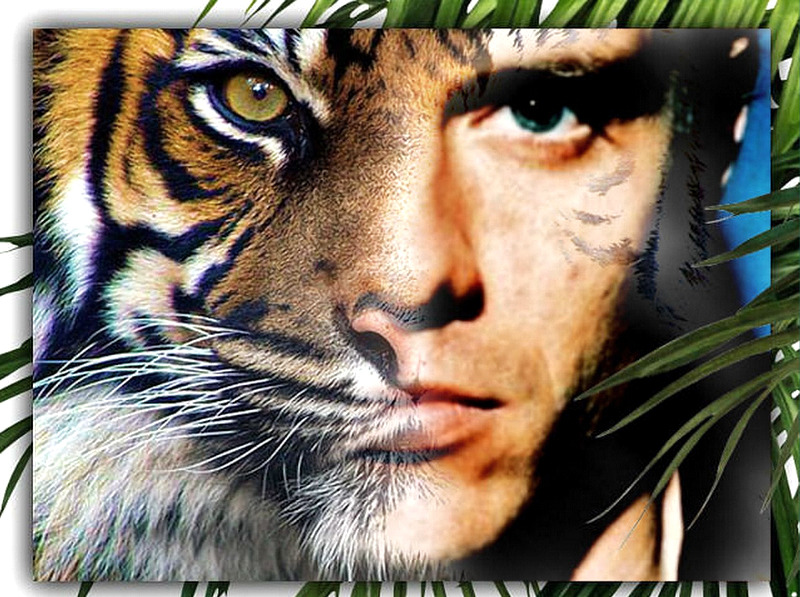 Michael Biehn Tiger - by Helen
Keywords: candid_art