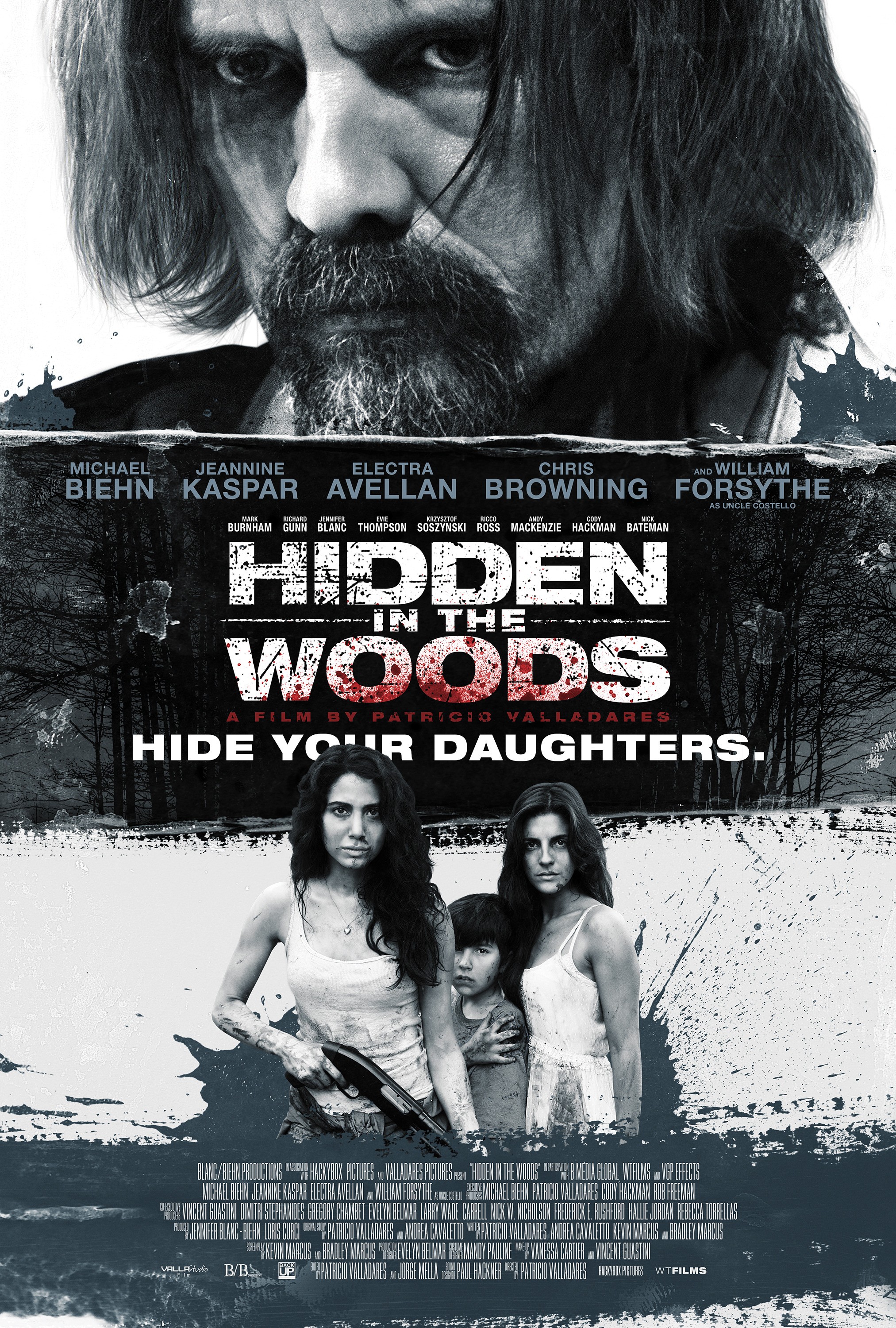 Hidden in the Woods - Poster 4
Keywords: media_poster;hidden_woods_img