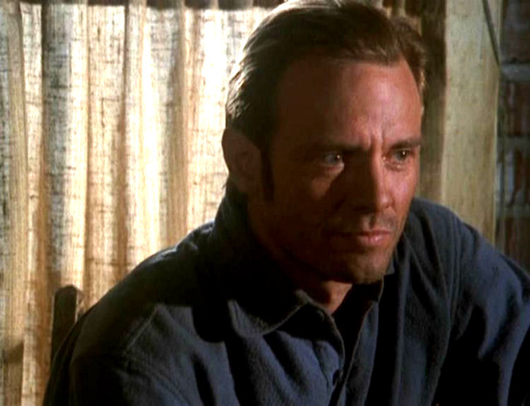 magnificent7 102 077
