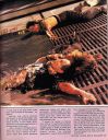Aliens_The_Official_Movie_Magazine_1986_Page_39.jpg