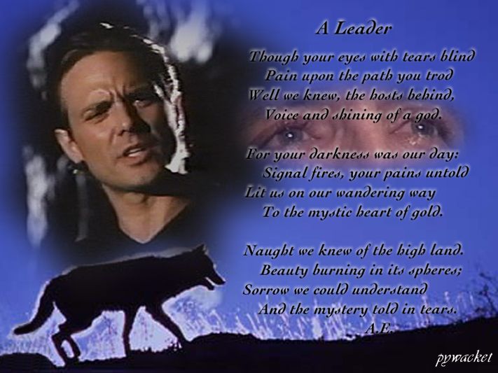 A Leader by Pywacket
Keywords: magnificent_7_art