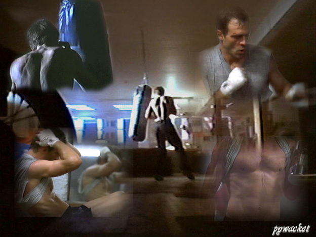 American Dragons - Workout by Pywacket
Keywords: american_dragons_art