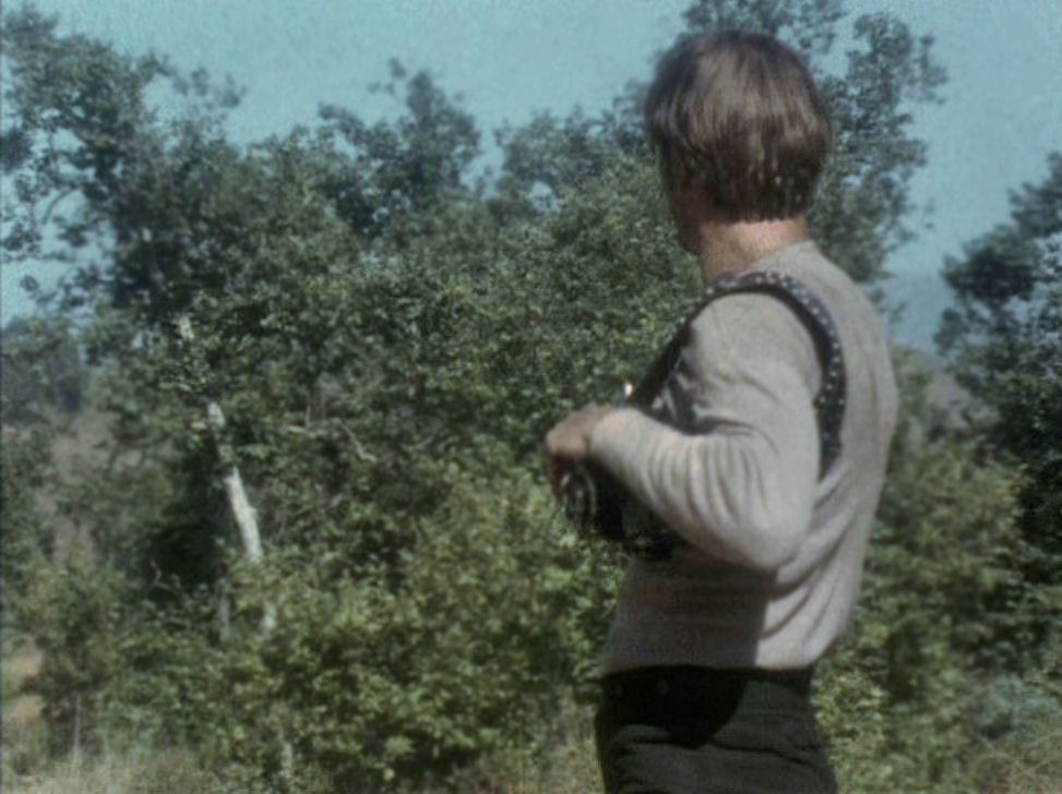 magnificent7 203 024
