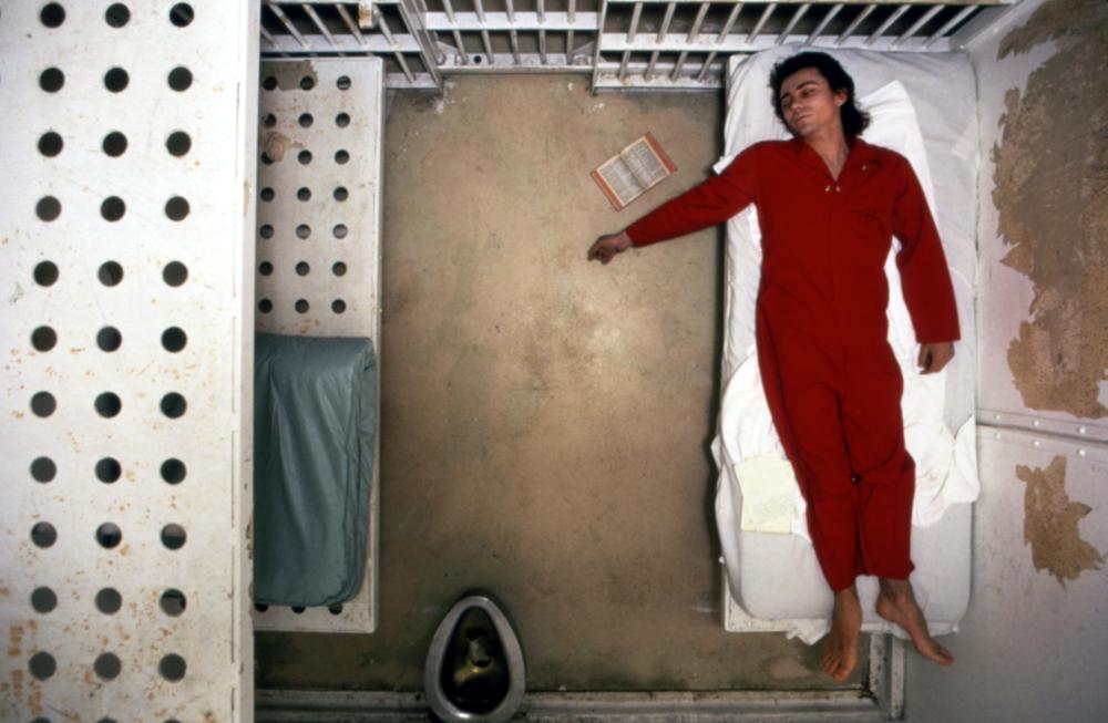 Rampage - Charles Reece
Keywords: rampage_img