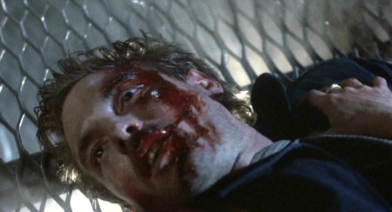 terminator199
